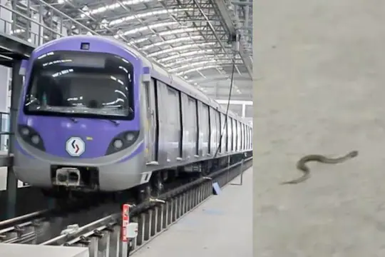 মেট্রোর কারশেডে সাপের উপদ্রব, কাজে সমস্যা, দাবি কর্মীদের