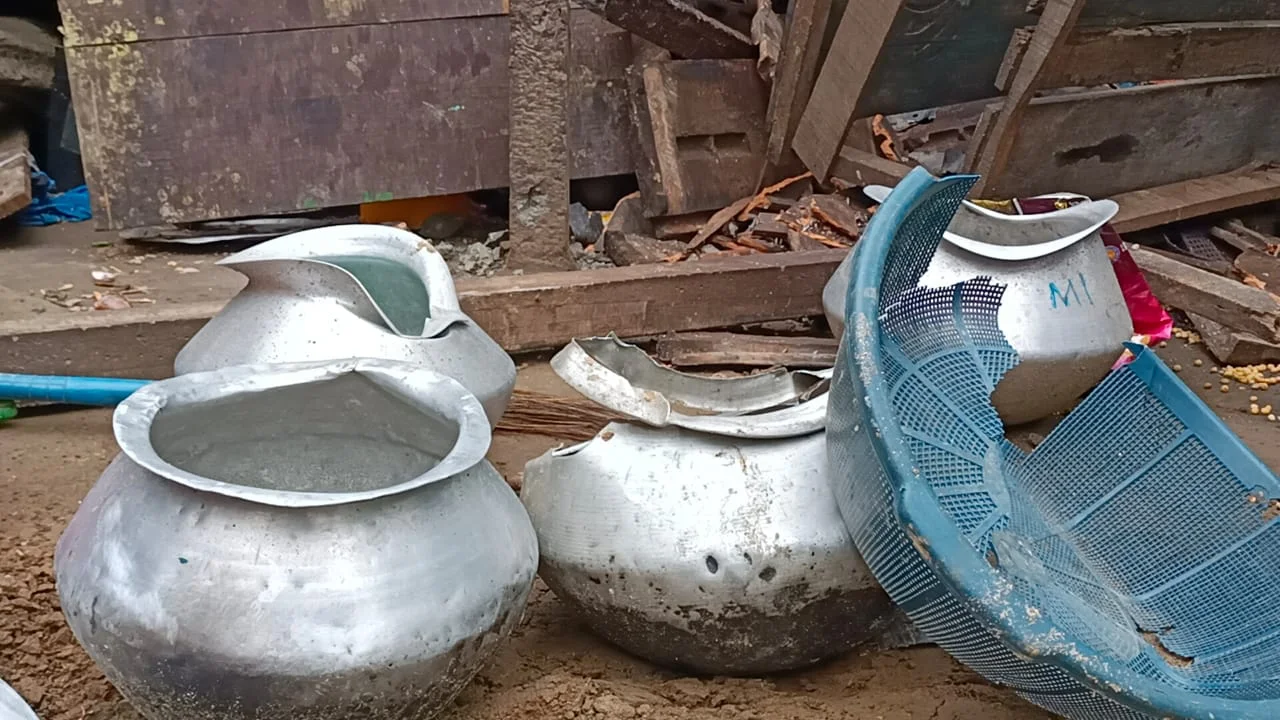 এক রাতে ৮ টি বাড়ি ভাঙলো বুনো হাতির দল, আতঙ্ক ডুয়ার্সের বানারহাটে