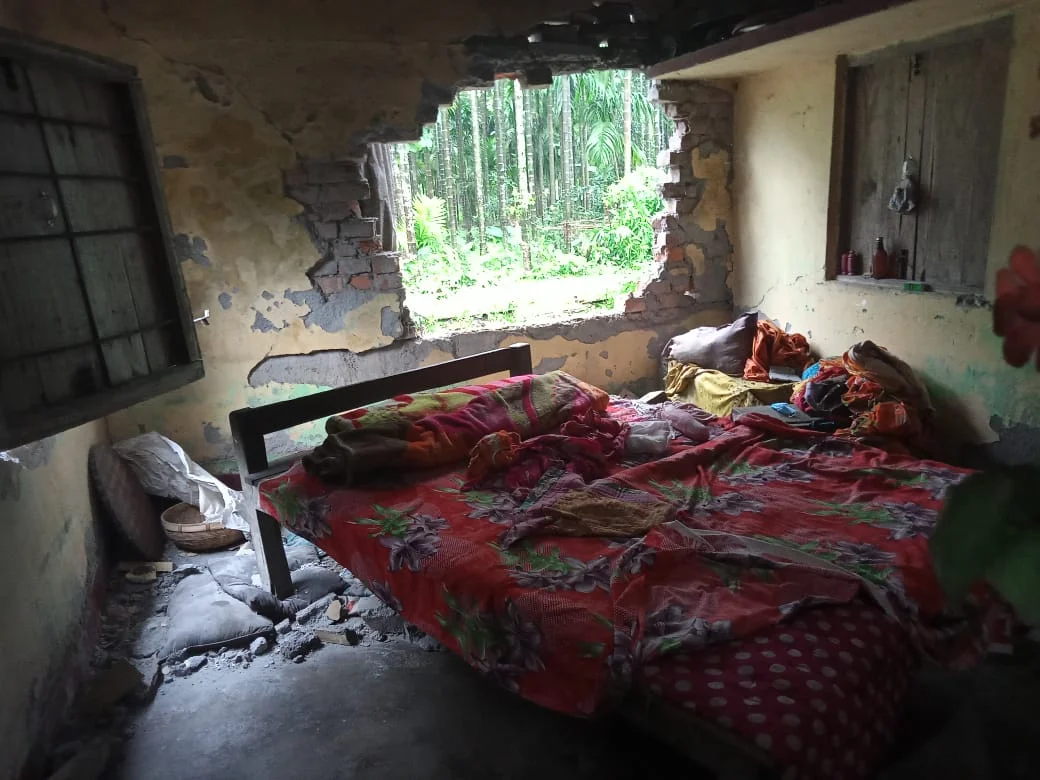 ফের হাতির হানা উত্তরবঙ্গে, চাঞ্চল্য এলাকায়