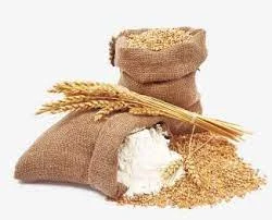 গমের পর এবার আটা,ময়দা রফতানির ওপর নিষেধাজ্ঞার বিজ্ঞপ্তি কেন্দ্রের!