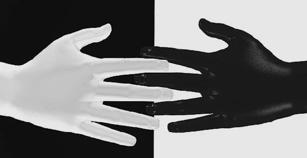 ২ উগ্র শ্বেতাঙ্গবাদী সংগঠনকে সন্ত্রাসী ঘোষণা নিউজিল্যান্ডের