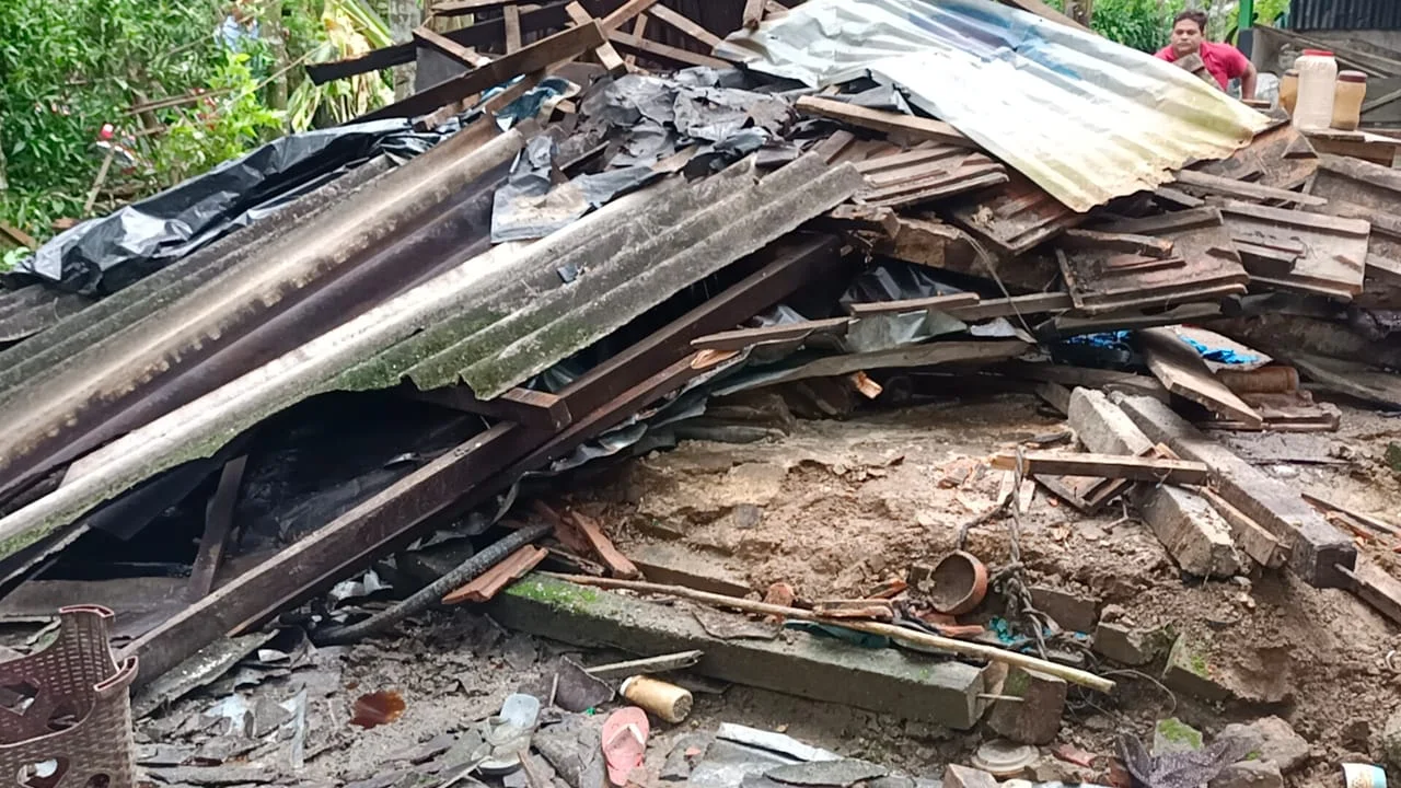 এক রাতে ৮ টি বাড়ি ভাঙলো বুনো হাতির দল, আতঙ্ক ডুয়ার্সের বানারহাটে