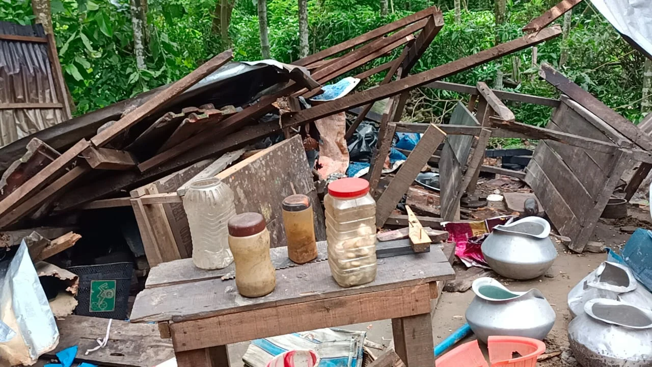 এক রাতে ৮ টি বাড়ি ভাঙলো বুনো হাতির দল, আতঙ্ক ডুয়ার্সের বানারহাটে