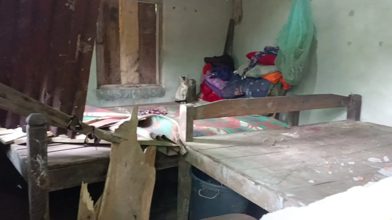 এক রাতে ৮ টি বাড়ি ভাঙলো বুনো হাতির দল, আতঙ্ক ডুয়ার্সের বানারহাটে