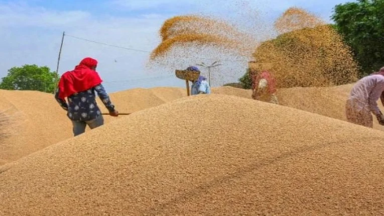 প্রতিবেশী দেশগুলির অনুরোধে ফের গম রফতানিতে উদ্যোগ ভারতের