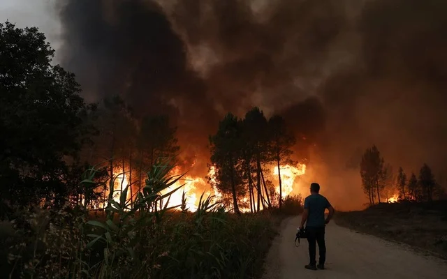 তাপপ্রবাহে লন্ডনে ভয়াবহ অগ্নিকাণ্ড