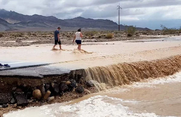 বিশ্বের শুষ্কতম স্থানে ১,০০০ বছর পর বন্যা!