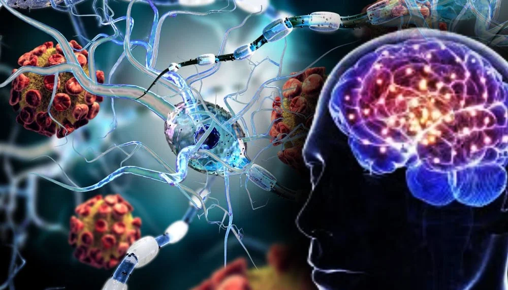 মস্তিষ্কে করোনার ক্ষতিকর প্রভাব থাকে কয়েক বছর!