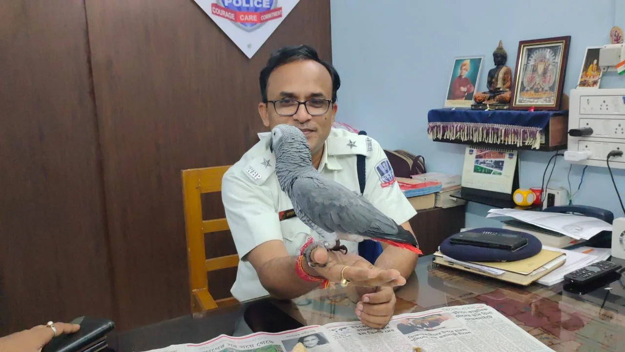 হারিয়ে যাওয়া আফ্রিকান গ্রে প্যারট রিওকে পরিবারের কাছে ফেরালো হাওড়া পুলিশ