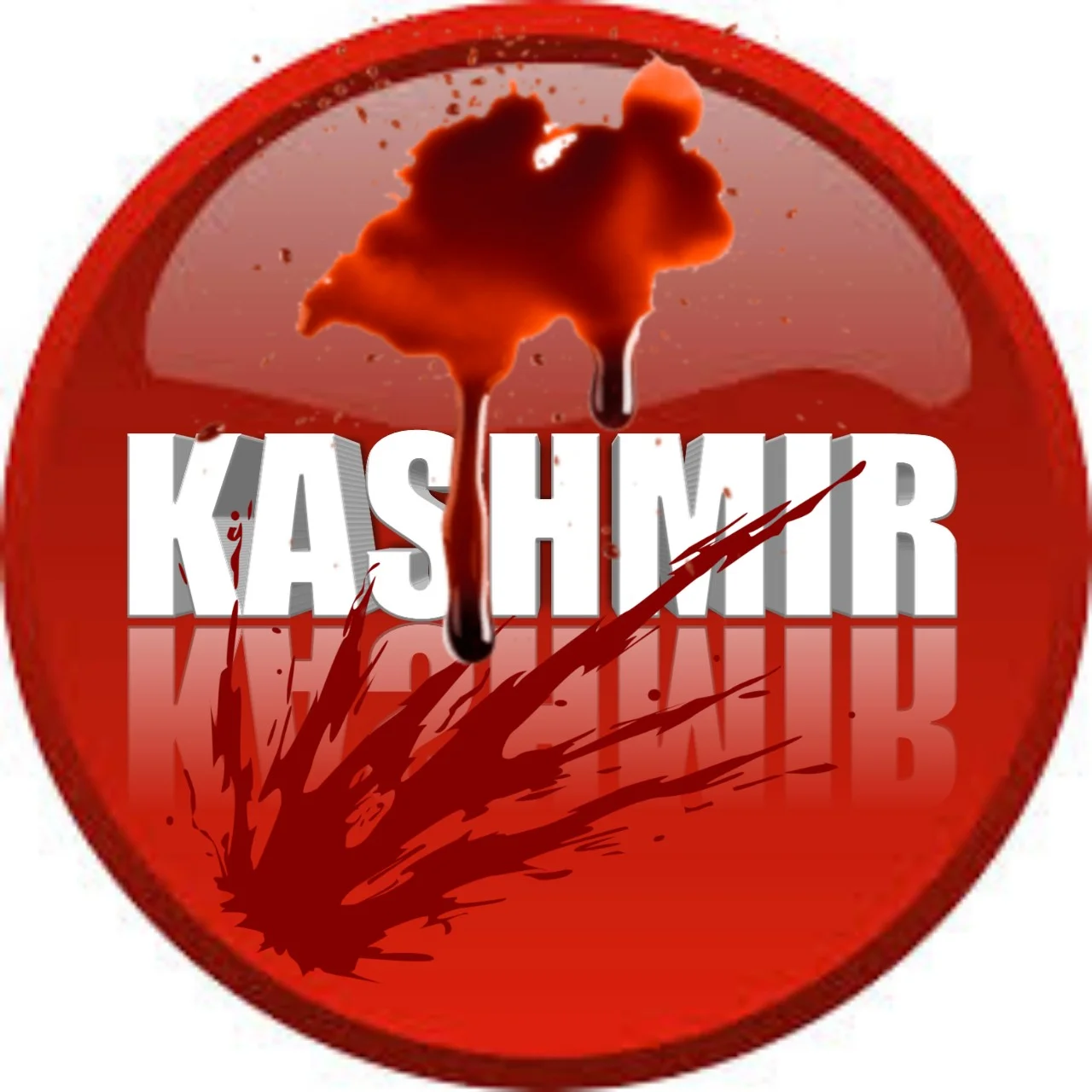 ফের রক্তপাত কাশ্মীর উপত্যকায়, জঙ্গি হামলায়   নিহত ১ জন