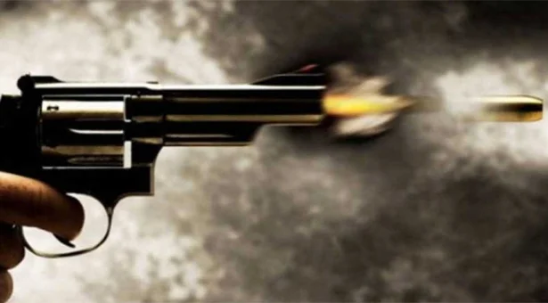 টেক্সাস ও মিশিগানে গুলিতে নিহত ৬