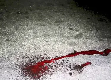 রাজস্থানে নৃশংস হত্যাকাণ্ড, তরবারির এক কোপে বোনের মুণ্ডু ধড় থেকে আলাদা করে দিল দিদি!