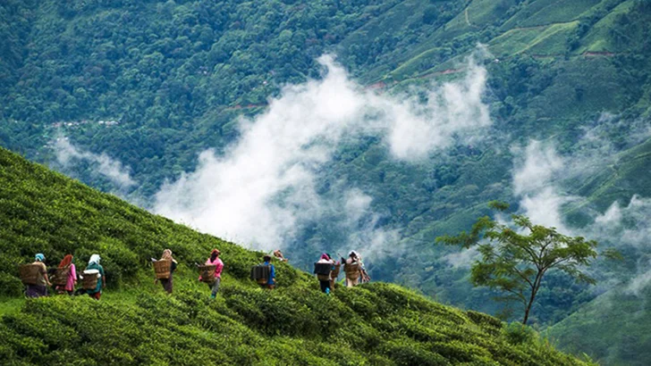 পুজোর আগে বাড়তি পাওনা, ১৫ আগস্ট থেকে বদলে যাচ্ছে দার্জিলিং মেলের গন্তব্যস্থল