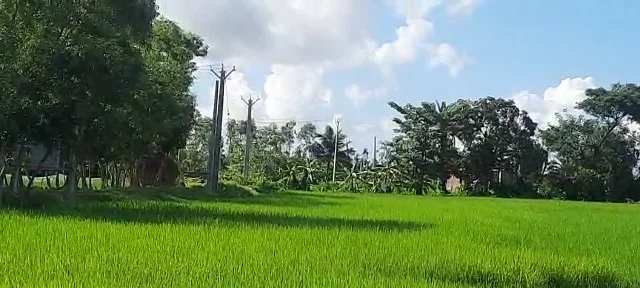 নেই বিদ্যুৎ সংযোগ  অথচ  আসছে বিদ্যুৎ বিল  ক্ষুব্ধ এলাকার মানুষ
