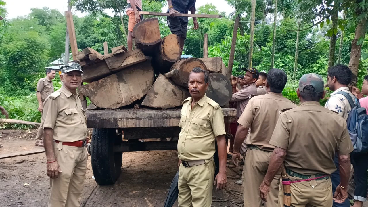 লক্ষাধিক টাকার চোরাই কাঠ উদ্ধার