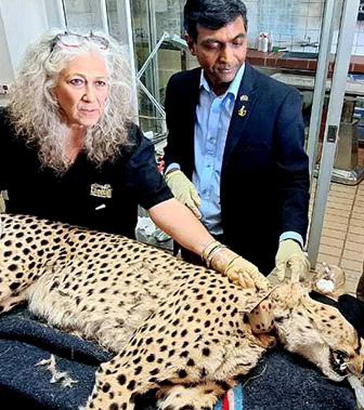 জন্মদিনে চিতা ছাড়লেন নরেন্দ্র মোদি, ভারতে আসা নতুন অতিথিদের স্বাগত জানালেন প্রধানমন্ত্রী