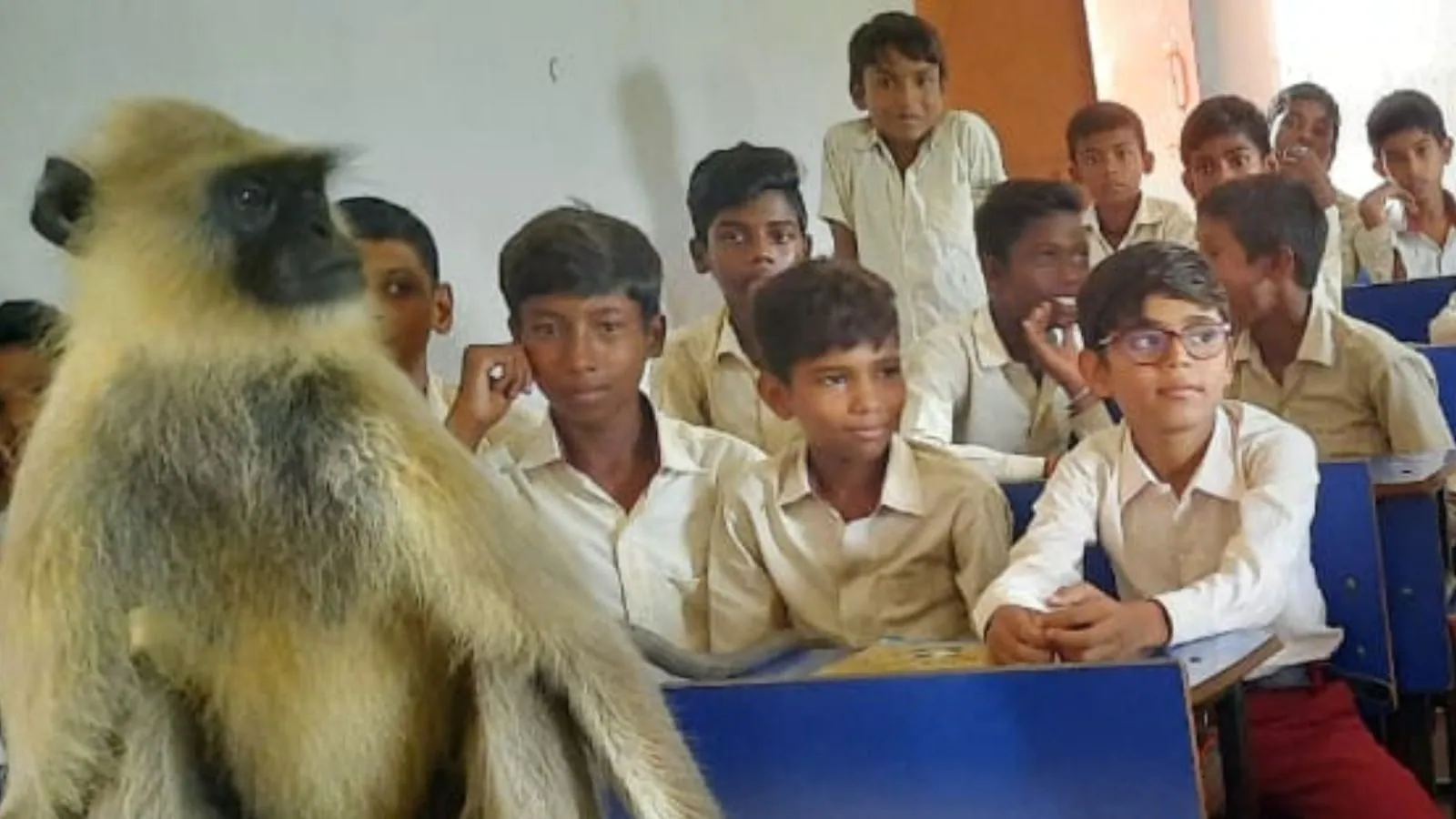 হাজারিবাগের স্কুলে পড়ুয়াদের সঙ্গে রোজ ক্লাস করে একটি হনুমান, দেখুন ভাইরাল ভিডিও