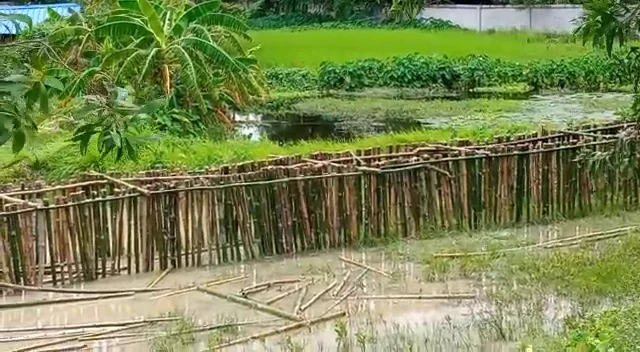 পুবের কলমের খবরের জেরে তৎপর- প্রশাসন   শুরু হল নদী বাঁধ পর্যবেক্ষণের কাজ