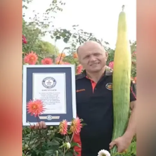 ৩ ফুটের শসা ফলিয়ে  রেকর্ড! নাম উঠল গিনেস বুক