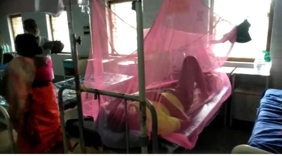 সীমান্তে ডেঙ্গু আক্রান্ত ১০ জন হাসপাতালে ভর্তি, সংক্রমণ রুখতে সচেতনতার বার্তা