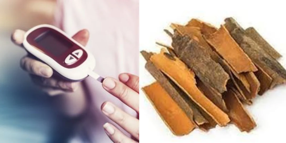 ডায়াবিটিস, ব্লাড সুগার নিয়ন্ত্রণ করে দারুচিনি!  