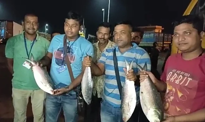 উৎসবের মরসুমে পশ্চিমবঙ্গে এল সাড়ে ৮ টন বাংলাদেশের পদ্মার সুস্বাদু ইলিশ
