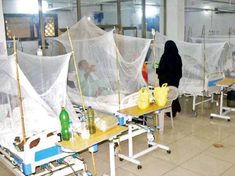 ম্যালেরিয়ায় কাঁপছে গোটা দেশ, ভারত থেকে ৭১ লক্ষ মশারি চাইল পাকিস্তান