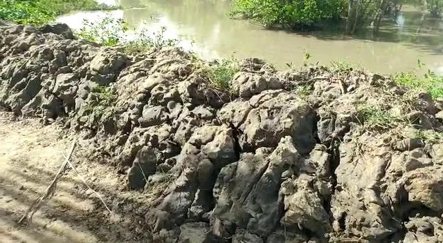 নিম্নচাপের ভ্রূকুটি, উপকূলবর্তী এলাকায় জারি সতর্কতা