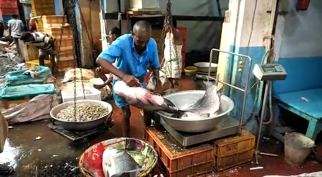 পুজোর আগেই হাওড়ার বাজারে ওপার বাংলার পদ্মার ইলিশ, খুশি ক্রেতা - বিক্রেতা সকলেই