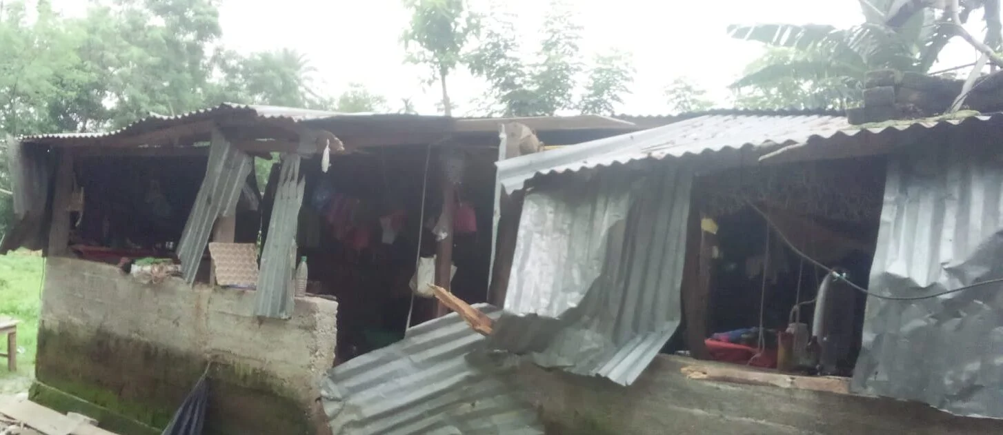 এক পাল বুনো হাতি তাণ্ডবে ধ্বংস হয়ে গেল রামচন্দ্রের বাড়ি!<div class=