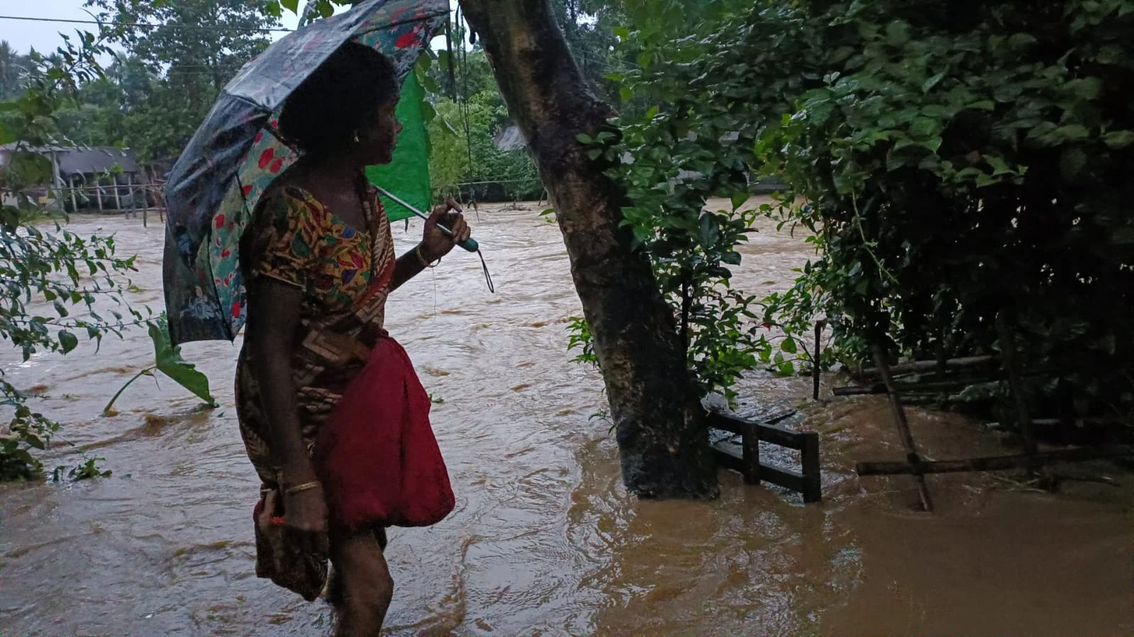পাহাড়ের বৃষ্টির জেরে ডুয়ার্সের নদীতে জলস্ফীতি, জলমগ্ন গয়েরকাটা