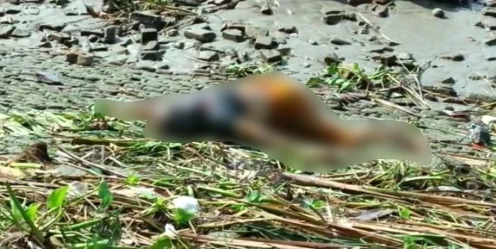 হুগলি নদী থেকে অজ্ঞাত পরিচয় মহিলার পচা গলা দেহ উদ্ধার চাঞ্চল্য  এলাকায়