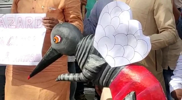 ডেঙ্গু প্রতিরোধে  ব্যর্থ পুর প্রশাসকমন্ডলী এই দাবিতে পুরসভায় ফগিং মেশিন এবং মশার মডেল সহ বিক্ষোভ বিজেপির