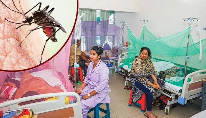 রায়গঞ্জে ডেঙ্গু আক্রান্তের সংখ্যা বাড়ায় চাহিদা বাড়ছে প্লেটলেটের