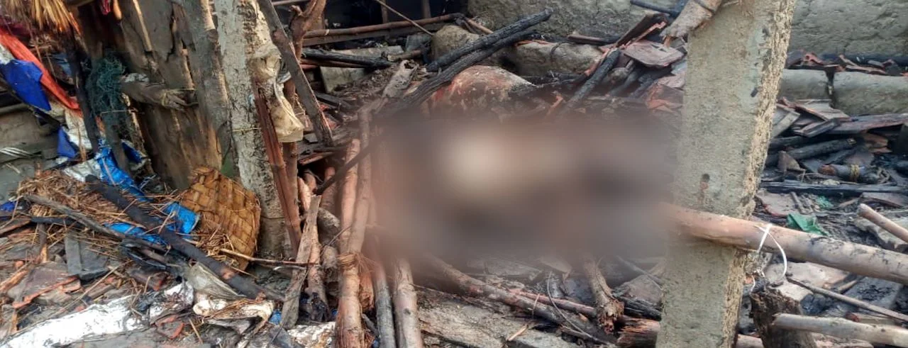 গভীর রাতে ভয়াবহ অগ্নিকাণ্ডে ভস্মীভূত কয়েকটি বসতবাড়ি, পুড়ে মৃত্যু গবাদি পশুর
