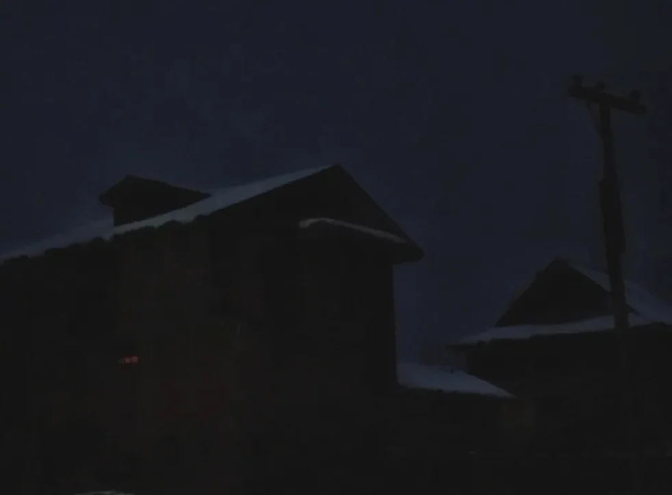 প্রবল শীতে দীর্ঘ সময় ধরে বিদ্যুৎ বিভ্রাটের কবলে শ্রীনগর, সরকারের বিরুদ্ধে ক্ষোভে স্থানীয়রা