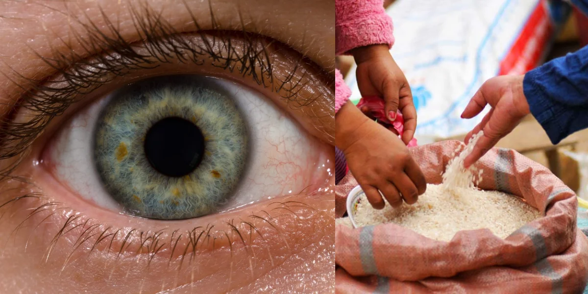 দুর্নীতি ঠেকাতে কঠোর রাজ্য সরকার, চোখের মণি দেখে দেওয়া হবে রেশন