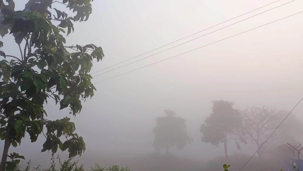 ঘন কুয়াশার চাদরে ঢাকলো গোটা ডুয়ার্স