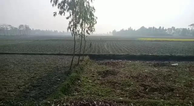 ভারত- বাংলাদেশ সীমান্তে ফের বিএসএফের গুলিতে মৃত্যু যুবকের