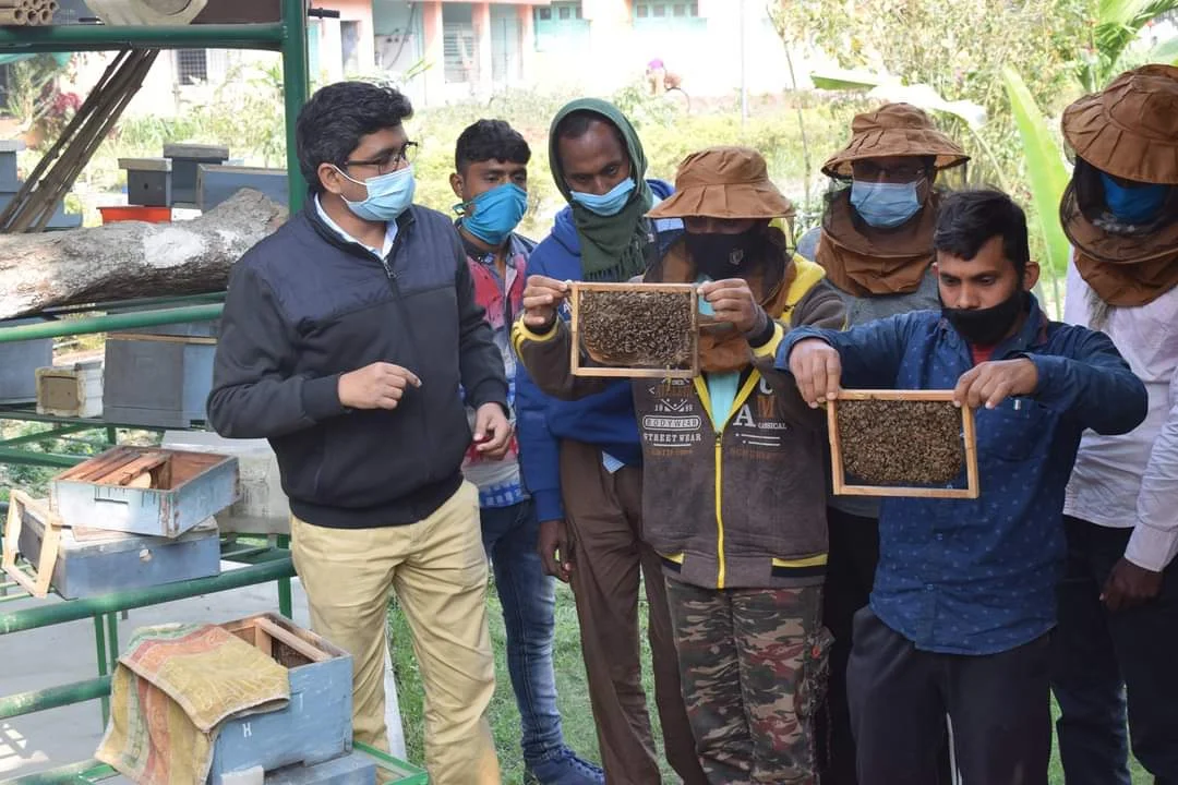 সুন্দরবনে মৌমাছি প্রতিপালন করে বিকল্প কর্মসংস্থানের পথ দেখাচ্ছে নিমপীঠ রামকৃষ্ণ কৃষি বিজ্ঞান কেন্দ্র