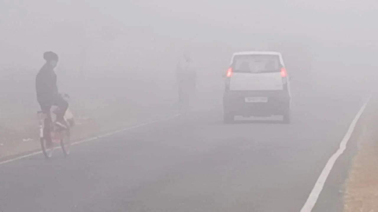 ঘন কুয়াশার চাদরে ঢাকলো গোটা ডুয়ার্স