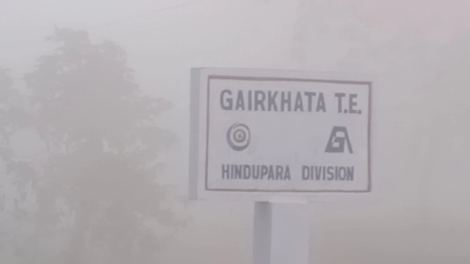 ঘন কুয়াশার চাদরে ঢাকলো গোটা ডুয়ার্স