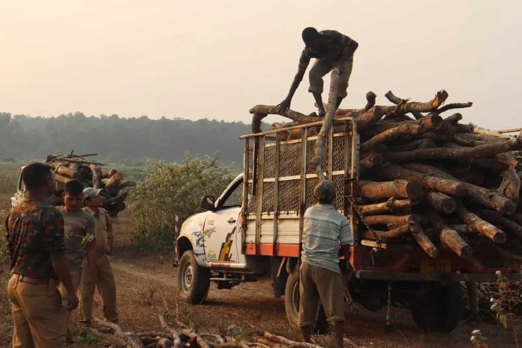 নদী দিয়ে পাচারের সময় কাঠ উদ্ধার