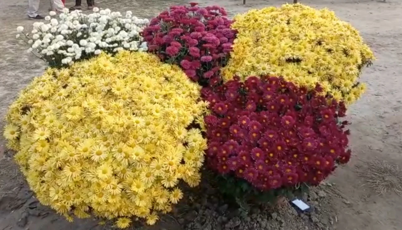 হাওড়ায় ফুলমেলার শুভ সূচনা করলেন মন্ত্রী অরূপ রায়