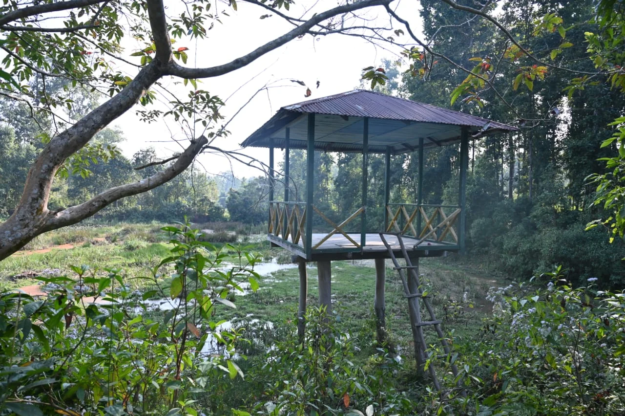 বনদফতরের চরম উদাসীনতায় ডুয়ার্সের গোঁসাইয়ের হাট  ইকো পার্ক হারাচ্ছে তার জৌলুস