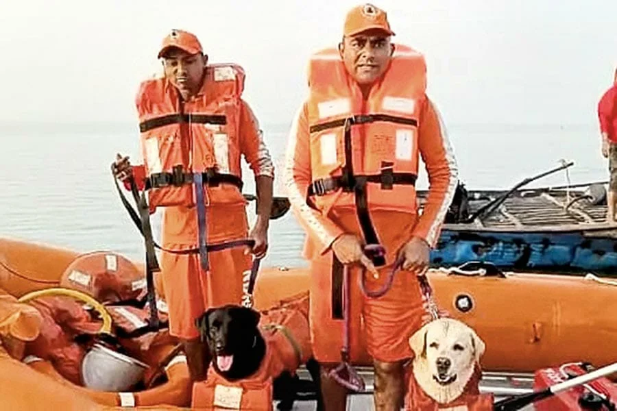 গঙ্গাসাগরে ডুবে গেলে এবার উদ্ধার কাজে দেখা যাবে প্রশিক্ষনপ্রাপ্ত কুকুর লিলি ও রোমিও কে