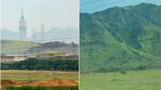 সবুজে ছেয়ে গিয়েছে  পবিত্র মক্কা ও মদিনা !