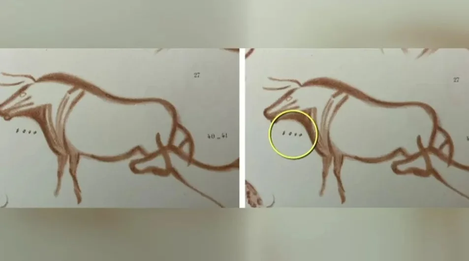 ২০ হাজার বছর আগের গুহাচিত্রের সাঙ্কেতিক ভাষার রহস্য উন্মোচন লন্ডনের আসবাব সংরক্ষকের গবেষণায়