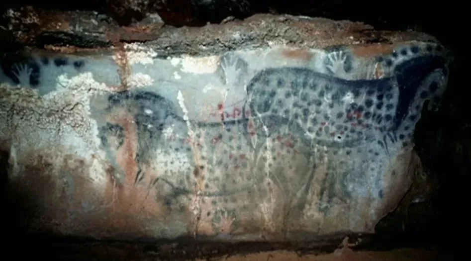 ২০ হাজার বছর আগের গুহাচিত্রের সাঙ্কেতিক ভাষার রহস্য উন্মোচন লন্ডনের আসবাব সংরক্ষকের গবেষণায়