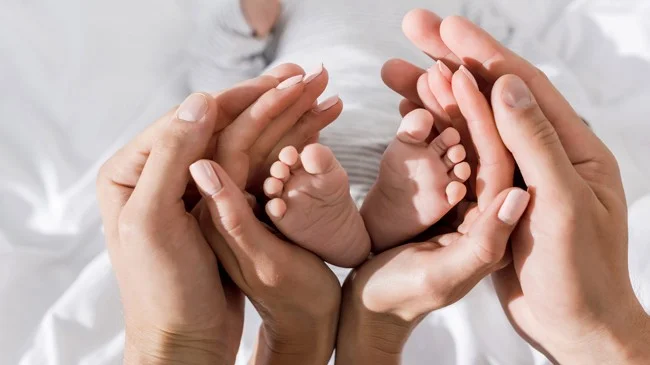 নেদারল্যান্ডসে জনপ্রিয় নাম ‘নূহ’ ও ‘মুহম্মদ’